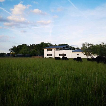 Landhaus Kirchberg Nardt Eksteriør billede